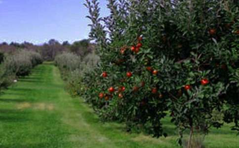 ���@����ɫ����