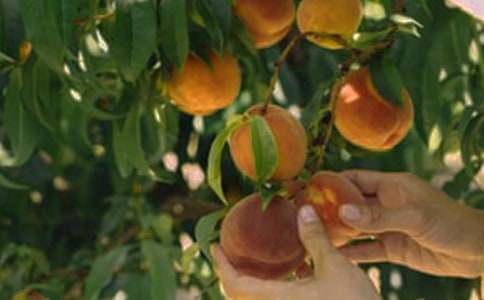 �����@�C���ˡ��̌W�OӋ