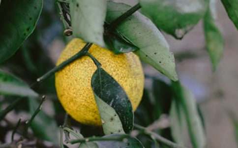 ���㣡����@����