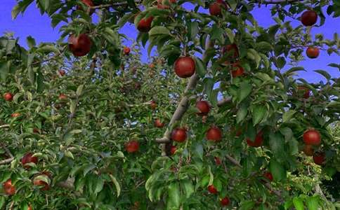 �������@�C(j��)���ˡ��̲ĵ�����