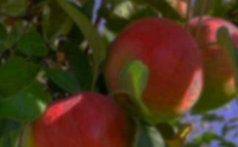 ���@������