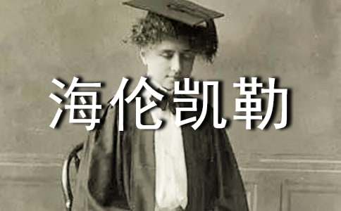 �����P���x���