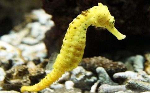 ���R�m��