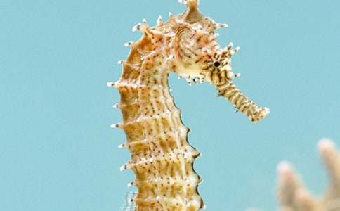 һ�����R��(sh��)��(x��)�����Y��ô��