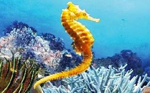 �����R���N��ͬ