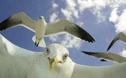 ���t�̼{ɭ���x���