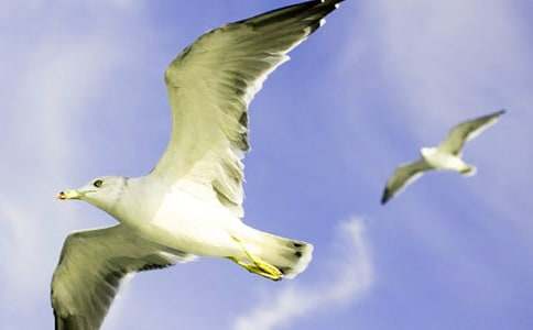 �����T�����t�̼{ɭ�x���2ƪ