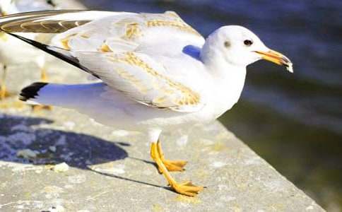 �����t�̼{ɭ���x���15ƪ