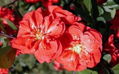 ���~�����^��кϼ�15ƪ