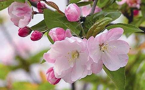 ��?y��n)麣�����Ґ?��i)�����@����