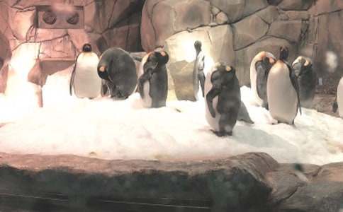 ���ژO�غ��󹫈@֮��500������