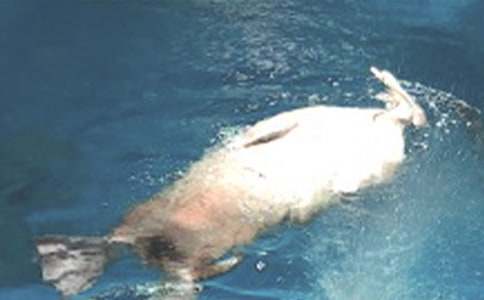 �κ��󹫈@����