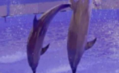 ���{(l��n)ɫ�ĺ����u���x���(���x15ƪ)