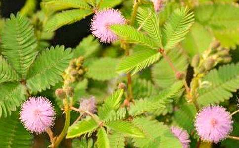 ���߲����ąR��15ƪ