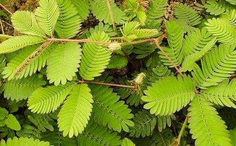 ���]�����߲�����