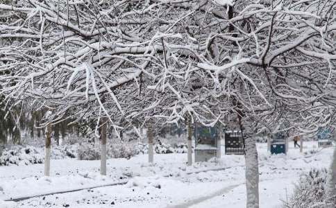 �������uע�Ᵽů��ף���Z