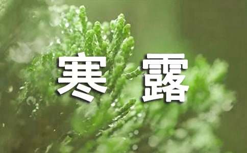 寒露養(yǎng)生小知識