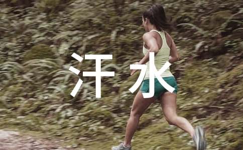 作文汗水收獲成功