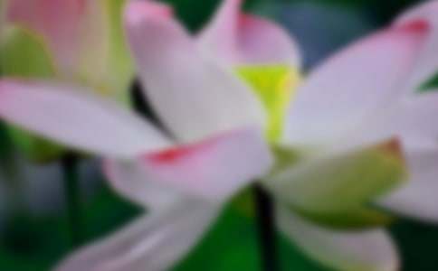 �ɻ���������