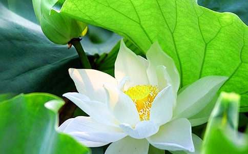 ٝ���ɻ���Ԋ��