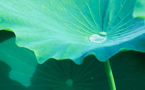 ���~�A�A�̌W(xu��)�O(sh��)Ӌ