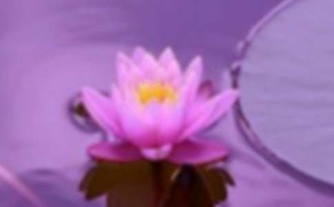 熱門(mén)和諧作文錦集