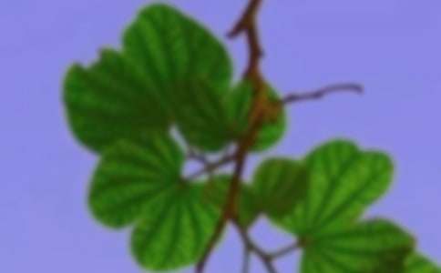 和諧管理理論在人力資源管理中的應用