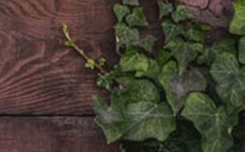 ���C������15ƪ(��(y��u))