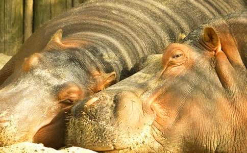 ����Z�ԡ����R���L���n��˼