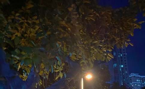 �P�ں�ҹ���İ������x��