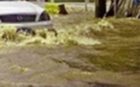 洪水受災(zāi)申請補助申請書