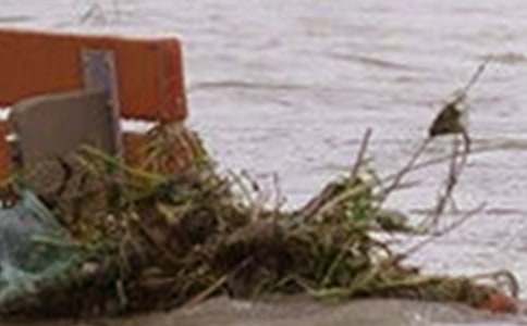 ��Ҋ�峺�ĺ�ˮ�ĉ�������