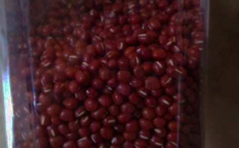 �t����u���������E