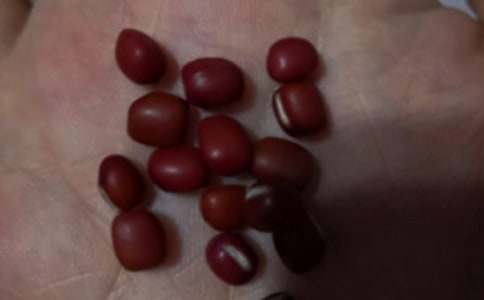 �t��޲�����������