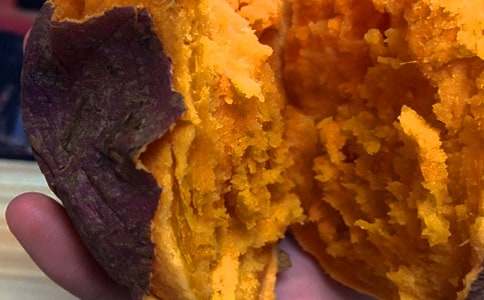 (精華)挖紅薯作文15篇