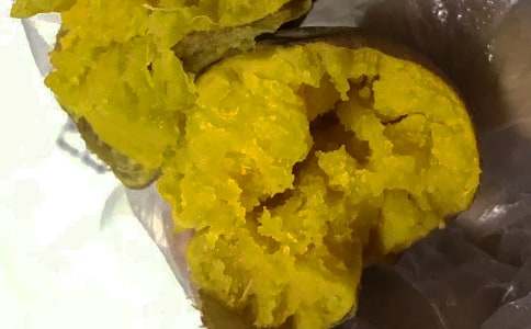 挖紅薯作文精品【15篇】