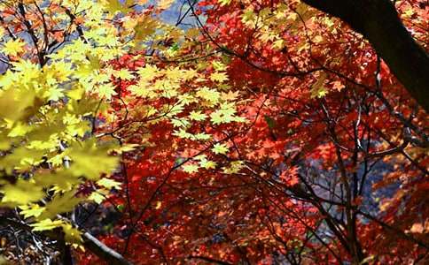 ���{�����t�~�֡��x��У����x18ƪ��