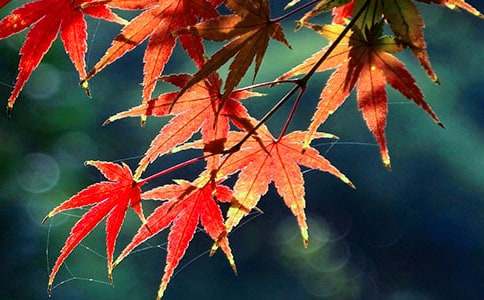 �t�~���\�ݵ��Bֳ����