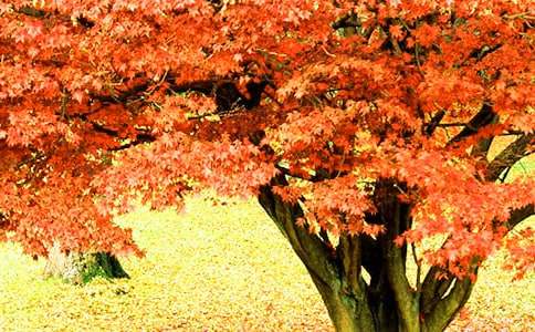 �����{(l��n)�����t�~�֡��x���