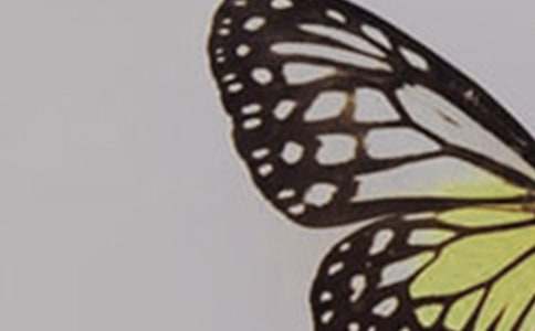 ����������(bi��o)������