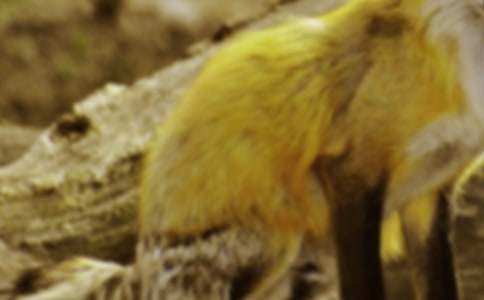 ��؂��С؈����