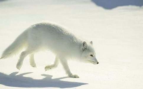 �����á����f�ͺ�؂����300����ƪ