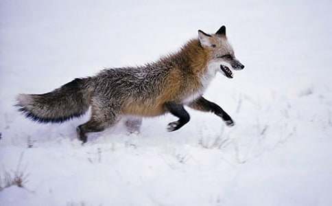 ��؂�͞��f���u(p��ng)�n��