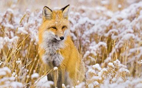 �ϻ��ͺ�؂���ľ��A(15ƪ)