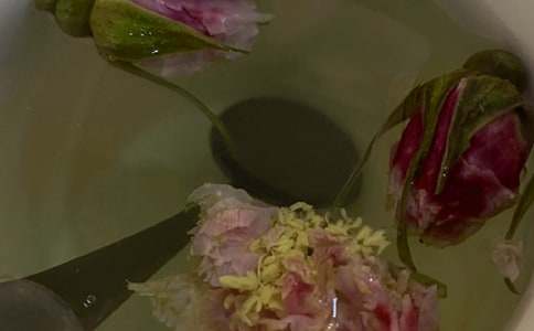 �𻨲�Ĺ�Ч�c���� �𻨲�ĸ�����