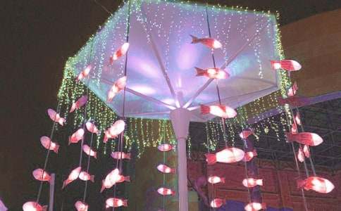 �^��������6ƪ������