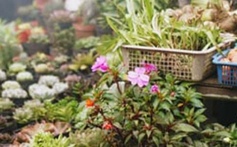 (熱)花店創(chuàng)業(yè)計劃書