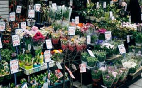 [�ϼ�]���ꄓ(chu��ng)�I(y��)Ӌ(j��)����15ƪ