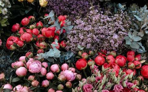 有關(guān)花店創(chuàng)業(yè)計劃書