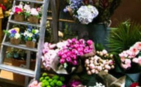 花店創(chuàng)業(yè)計(jì)劃書